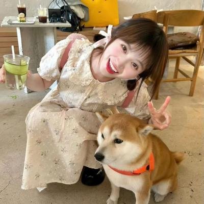 跳舞的红色公交